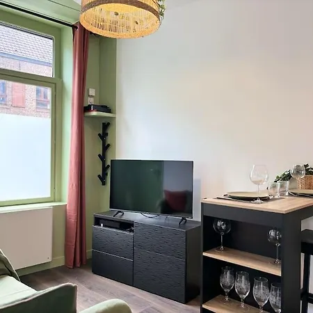Vieux-lille - Deux Pieces De Charme Apartment *