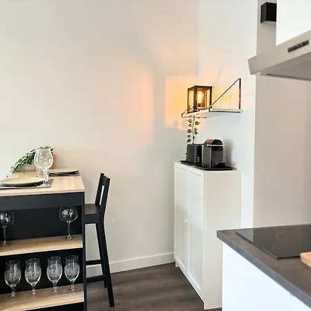 Vieux-lille - Deux Pièces De Charme Lilla