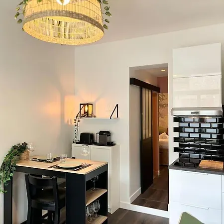 Vieux-lille - Deux Pieces De Charme * Lille